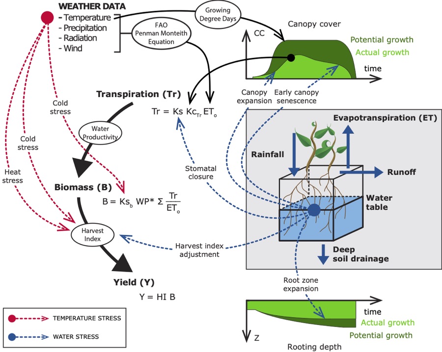 AquaCrop model schematic showing how weather, temperature stress, water stress, canopy cover, evapotranspiration, biomass, harvest index, and rooting depth interact to determine crop yield.