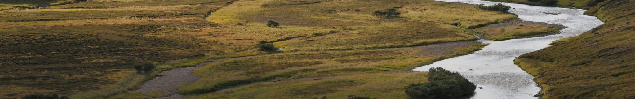 Tundra