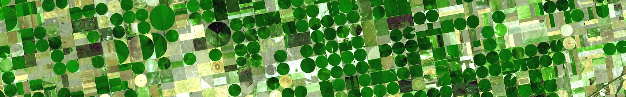 Cropland in Kansas
