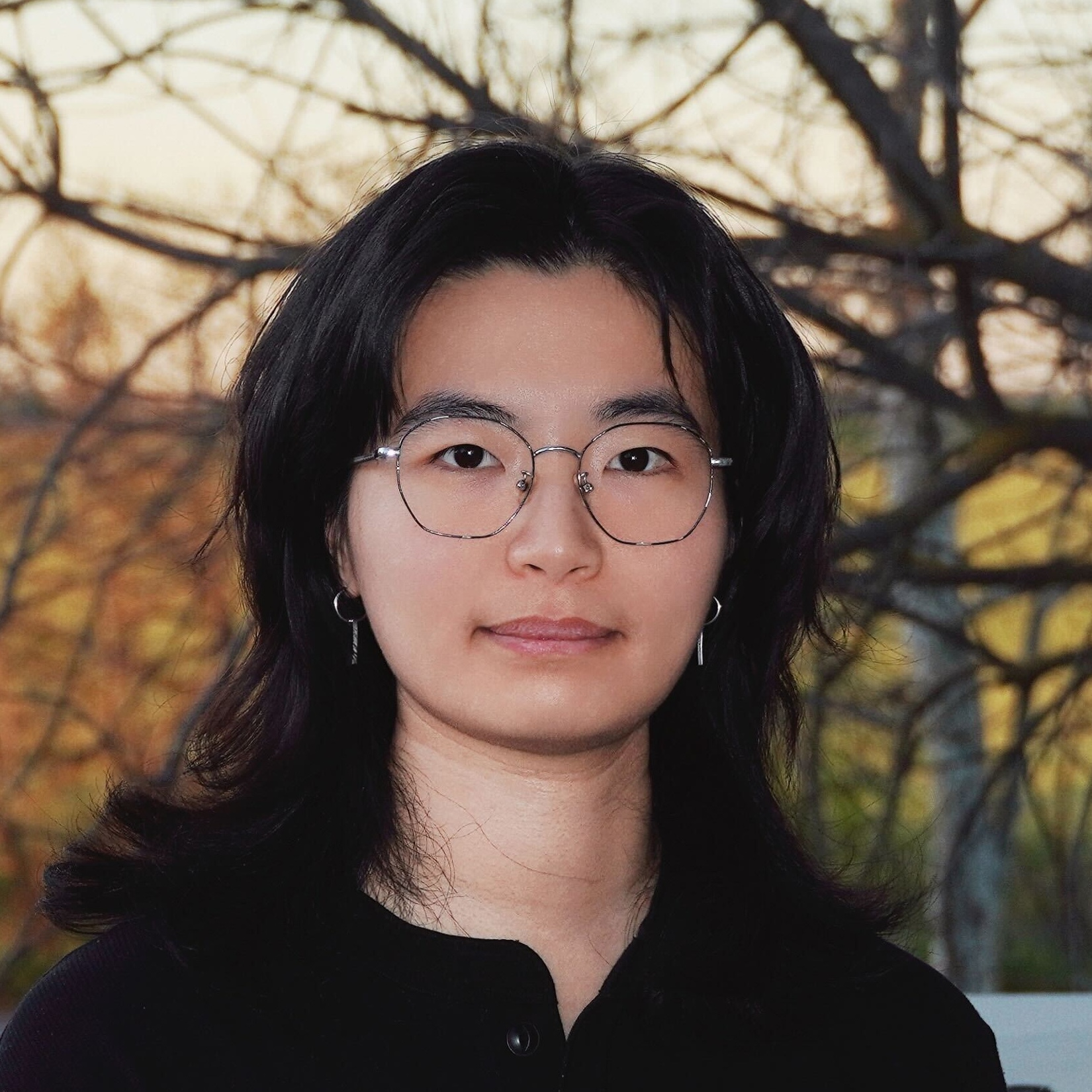 Yanyan Lu